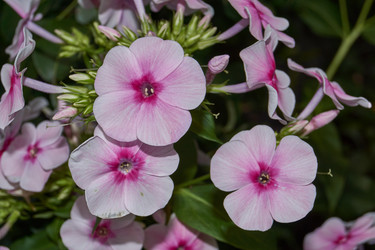 Similar image 21647826