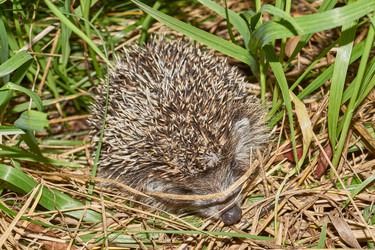 Similar image 21648343