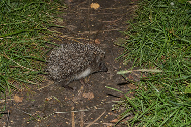 Similar image 21647827