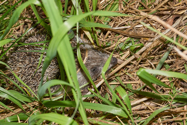 Similar image 21648345