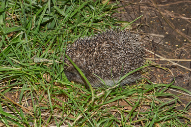 Similar image 21648346