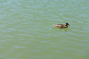 Similar image 21651091