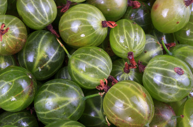 Similar image 21651092