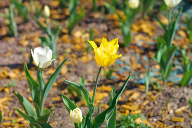 Similar image 21651094