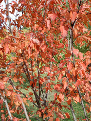 Similar image 21651095