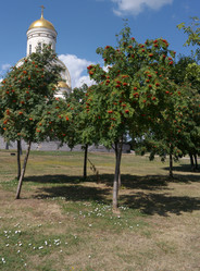 Similar image 21650671