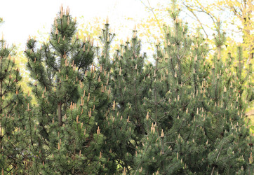 Similar image 21650672