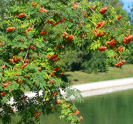 Similar image 21650679