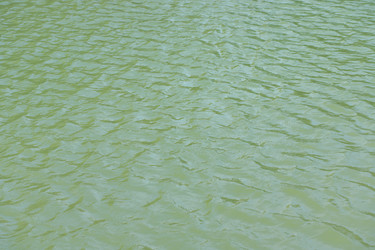 Similar image 21650685