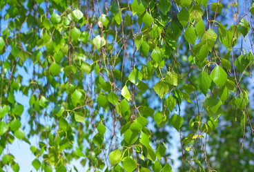 Similar image 21650688