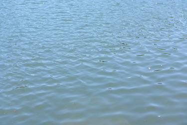 Similar image 21650689