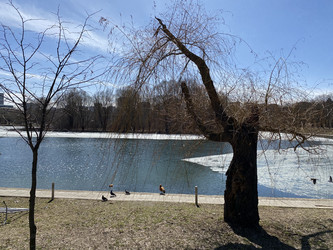 Similar image 21650694