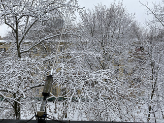 Similar image 21650698