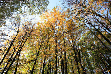 Similar image 21650699