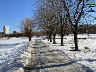 Similar image 21650700