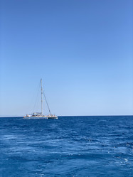 Similar image 21656298