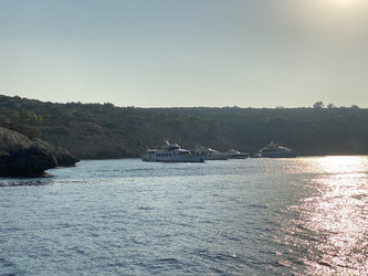 Similar image 21656303