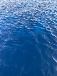 Similar image 21656844