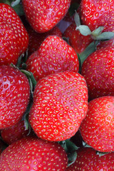 Similar image 21651107