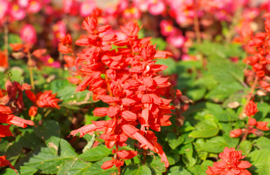 Similar image 21651118