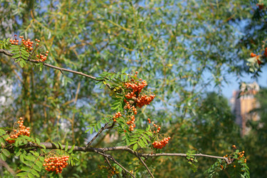 Similar image 21651121