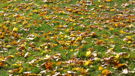 Similar image 21651124