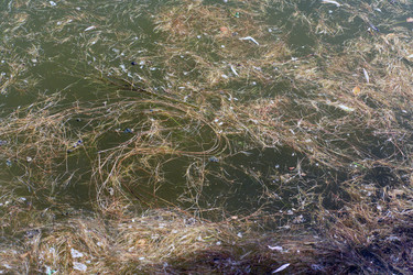 Similar image 21651126