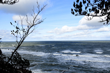 Similar image 21651733