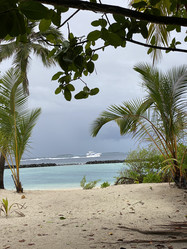 Similar image 21654272