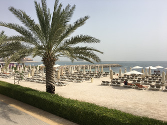 Similar image 21654274