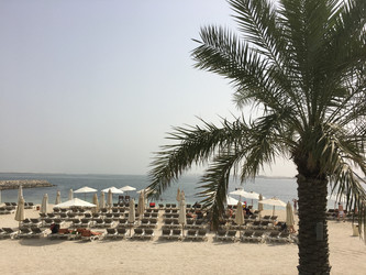 Similar image 21654275