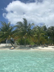 Similar image 21655638