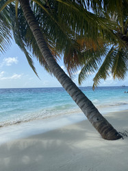 Similar image 21655640