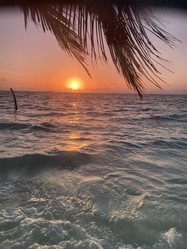 Similar image 21655642