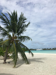 Similar image 21655708