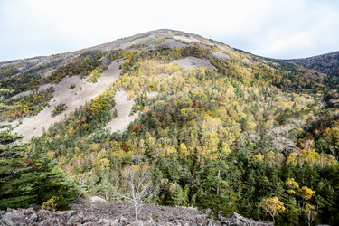 Similar image 21650213