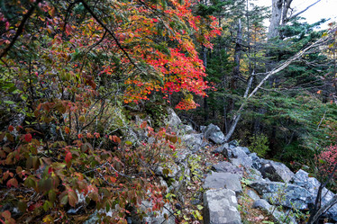 Similar image 21650214