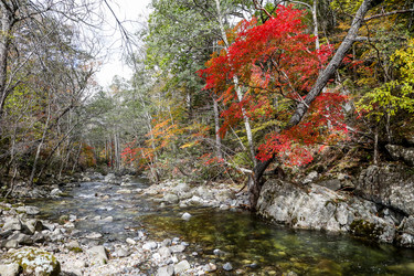 Similar image 21650215