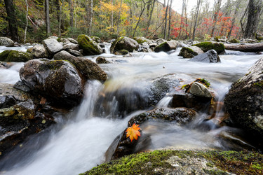 Similar image 21650216