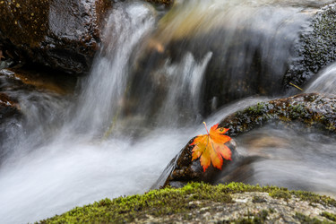 Similar image 21650217