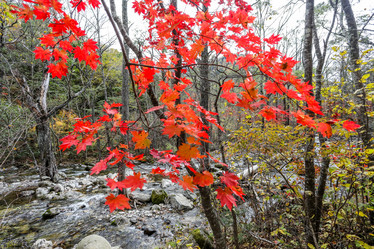 Similar image 21650218