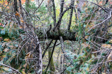 Similar image 21650219