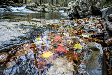 Similar image 21650220