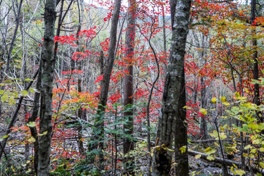 Similar image 21650221