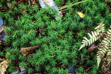 Similar image 21650222