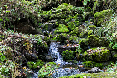 Similar image 21650223