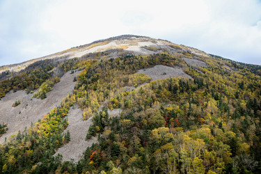 Similar image 21650225