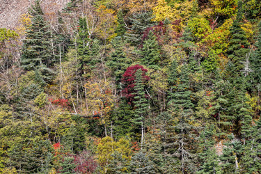 Similar image 21650228