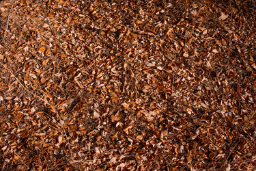 Similar image 21650229