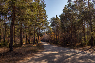 Similar image 21650230